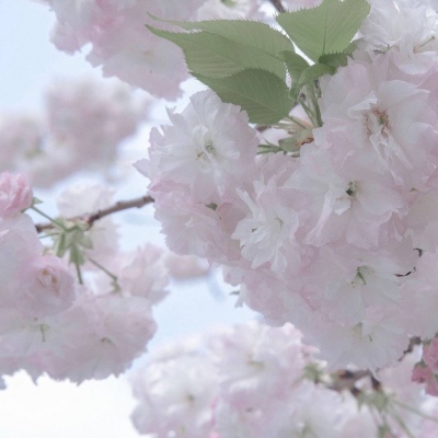 Furry绘画质感技巧兽圈社群